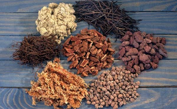 Bí quyết phối giá thể trồng lan